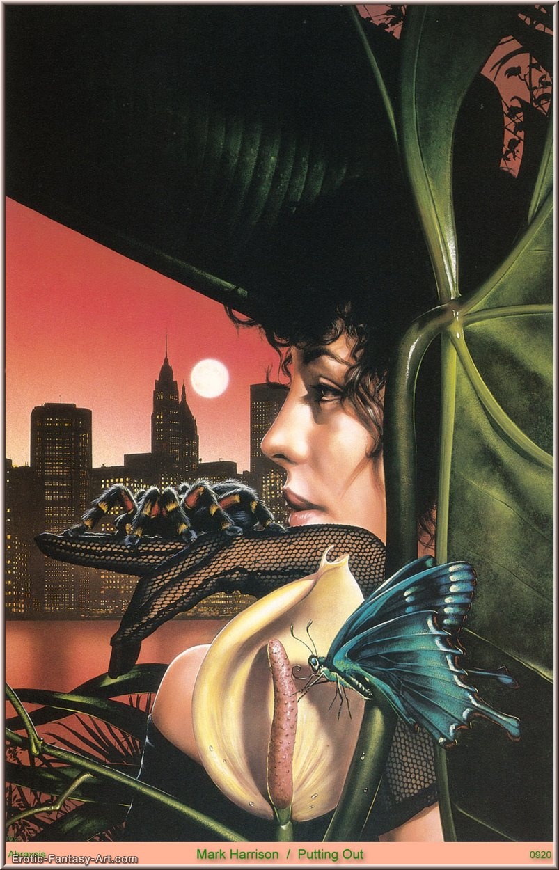 Mark Harrison-Mark Harris
