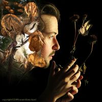 Yannick Bouchard-Dissection Of A Dream