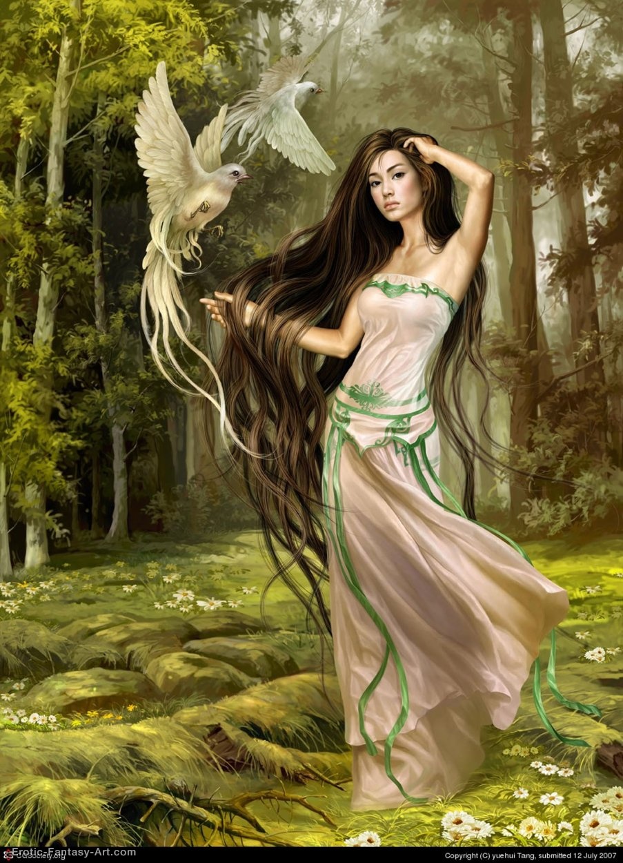 Yuehui Tang-Pretty Eyebro
