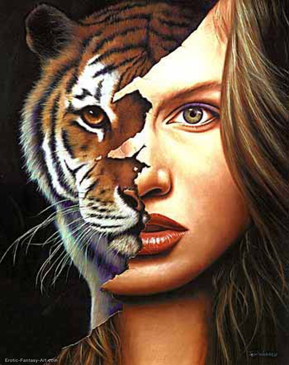 Tiger Within