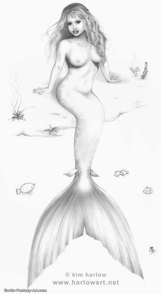 Study-Little Mermaid