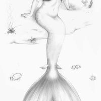 Study-Little Mermaid