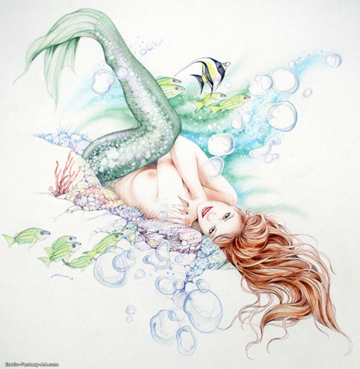 Mermaid