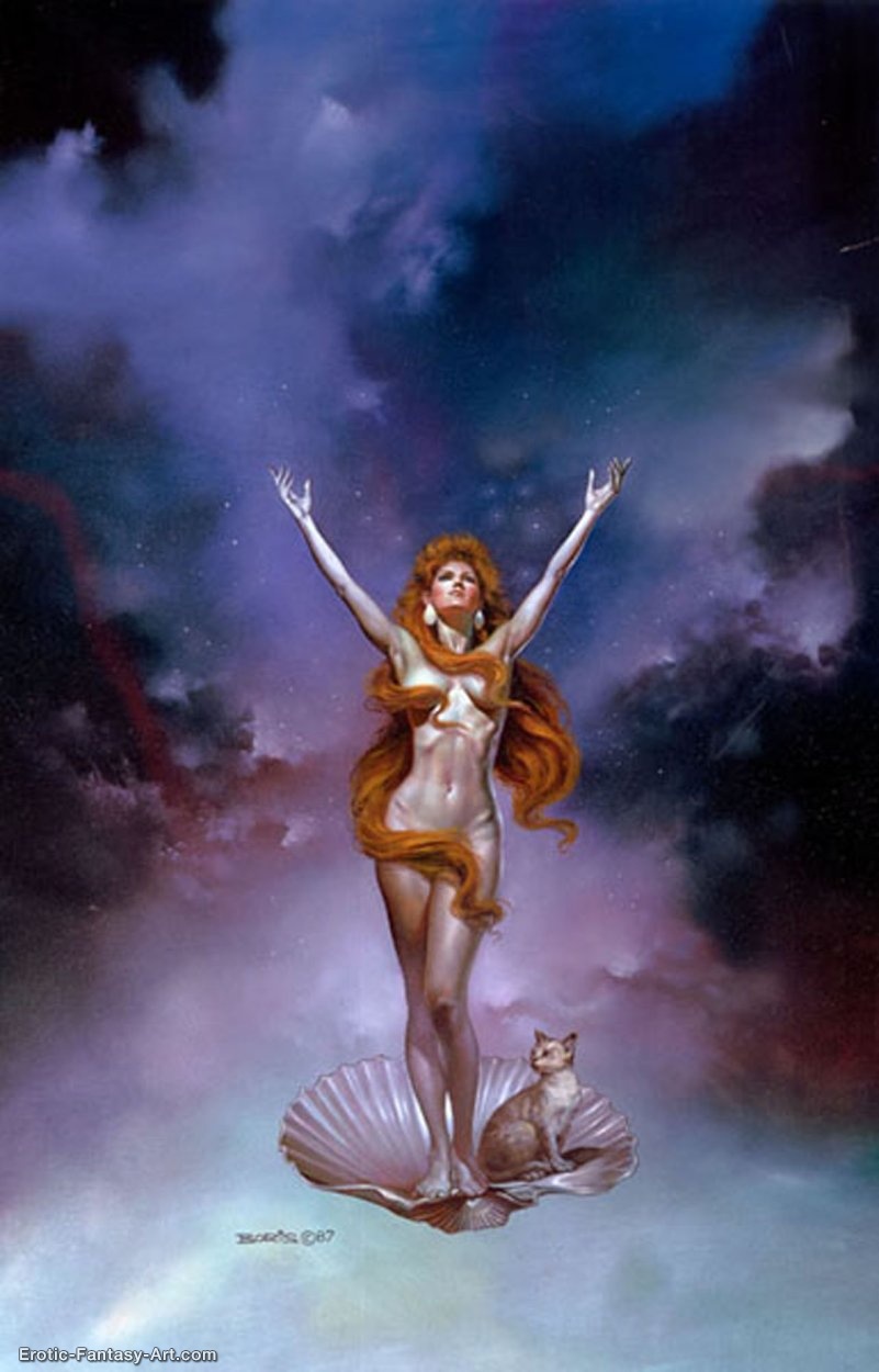 Venus On The Half Shell