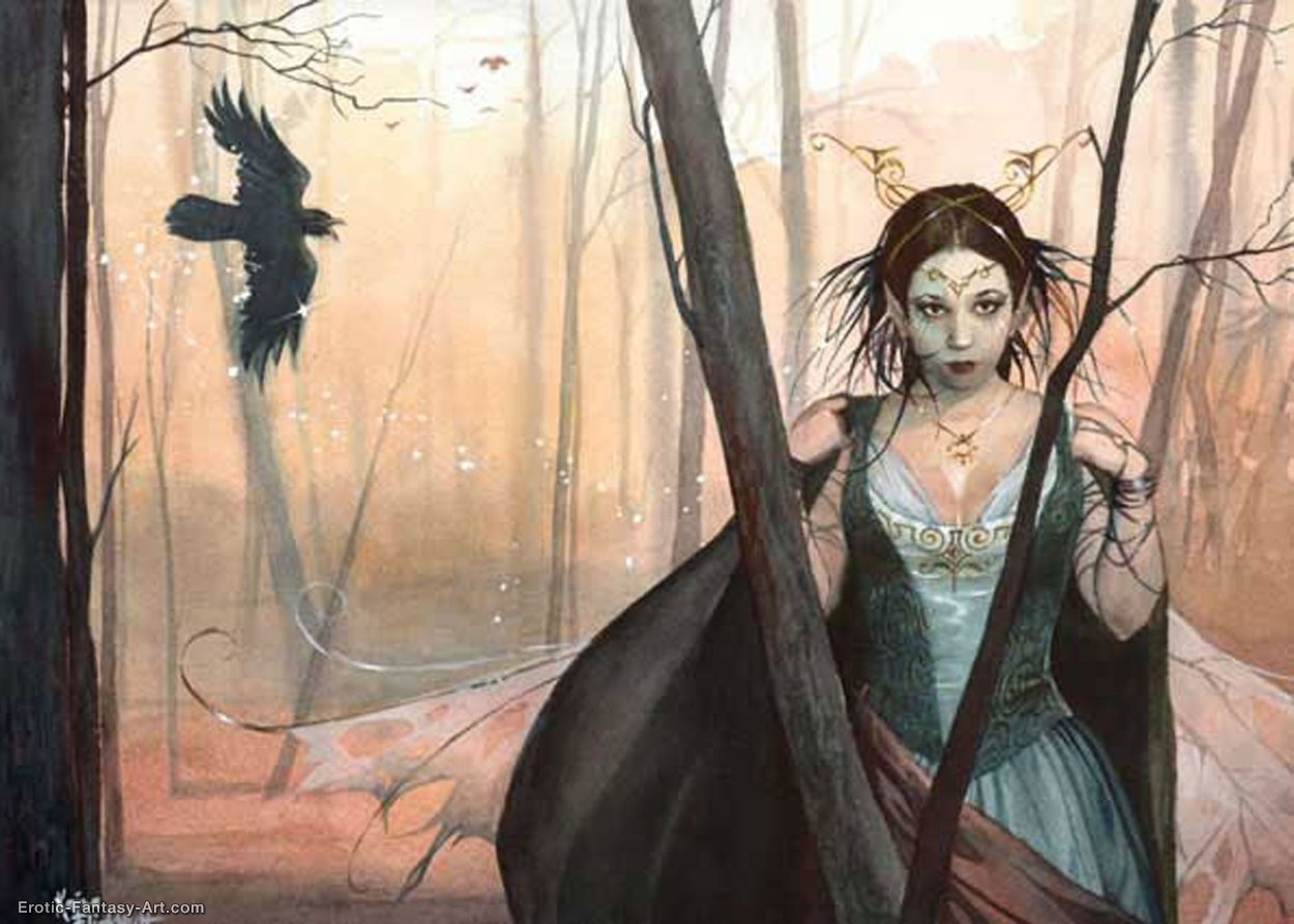 Raven Faery 3