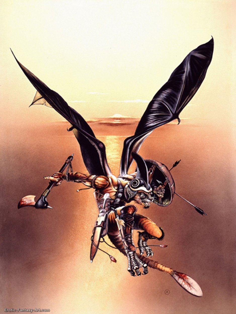 War Of The Wingmen