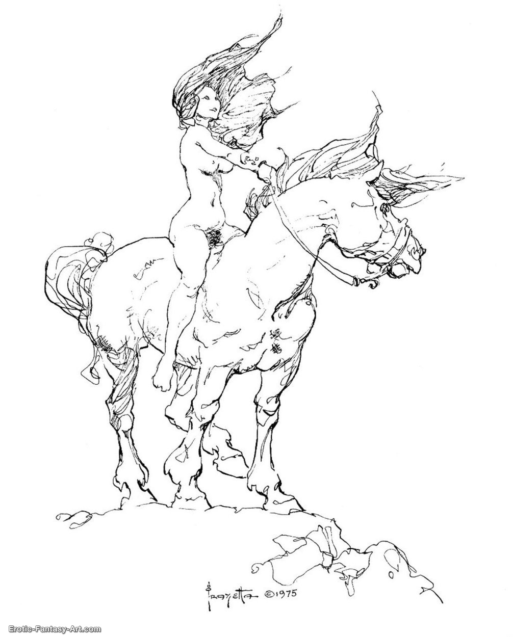 Bw 013
