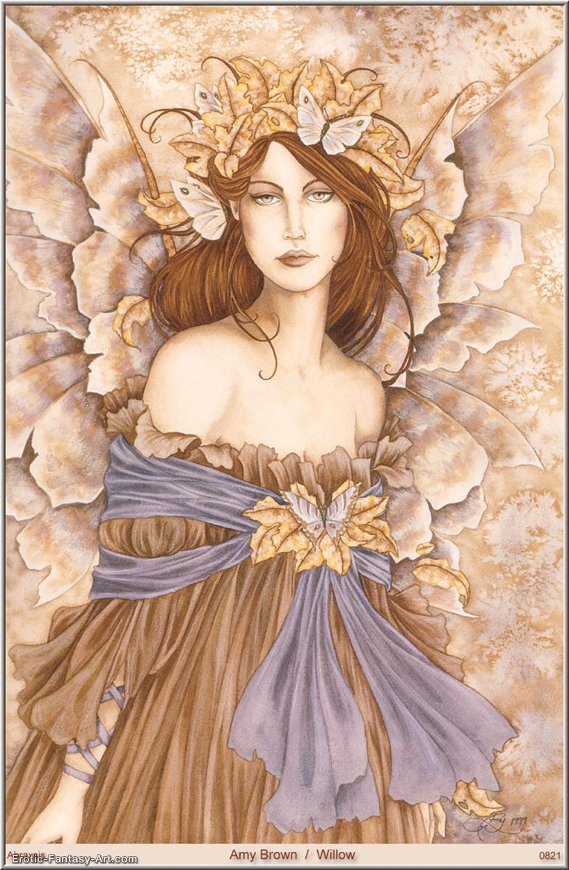 Amy Brown-Willow
