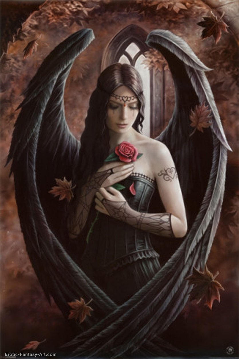 Anne Stokes-Anne-Stokes-A