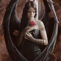 Anne_Stokes-Anne-Stokes-Angel-Rose