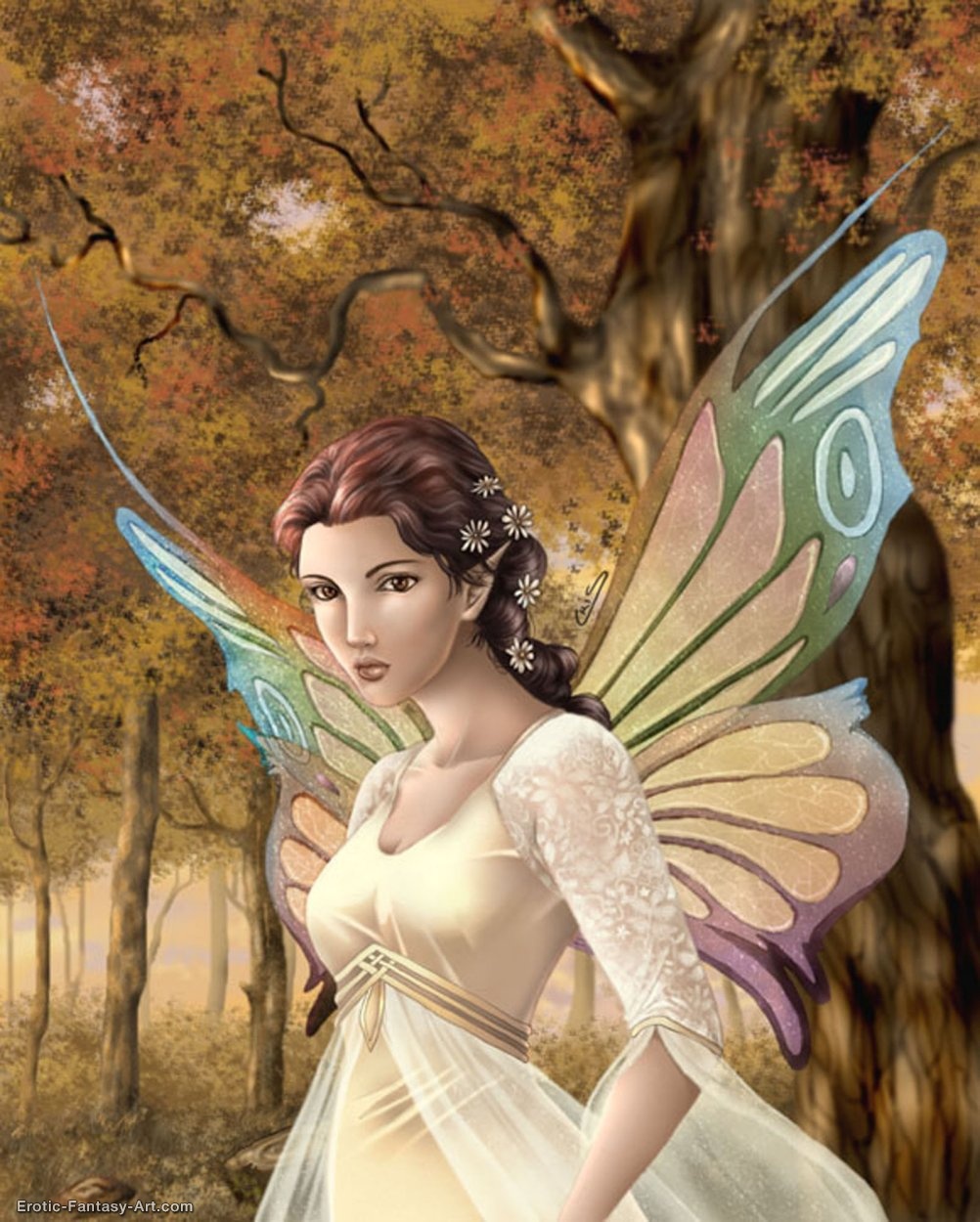 Cris Ortega-Maeve Sidhe B