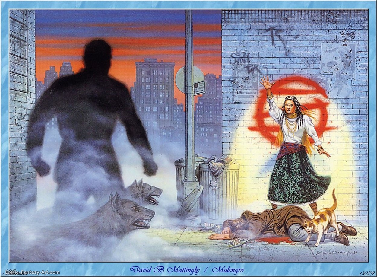 David B Mattingly-David B