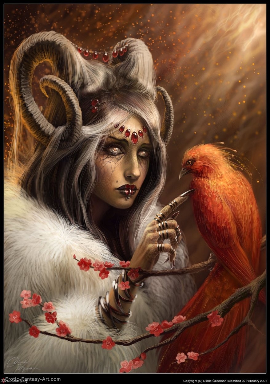 Diane Ozdamar-Dream Catch