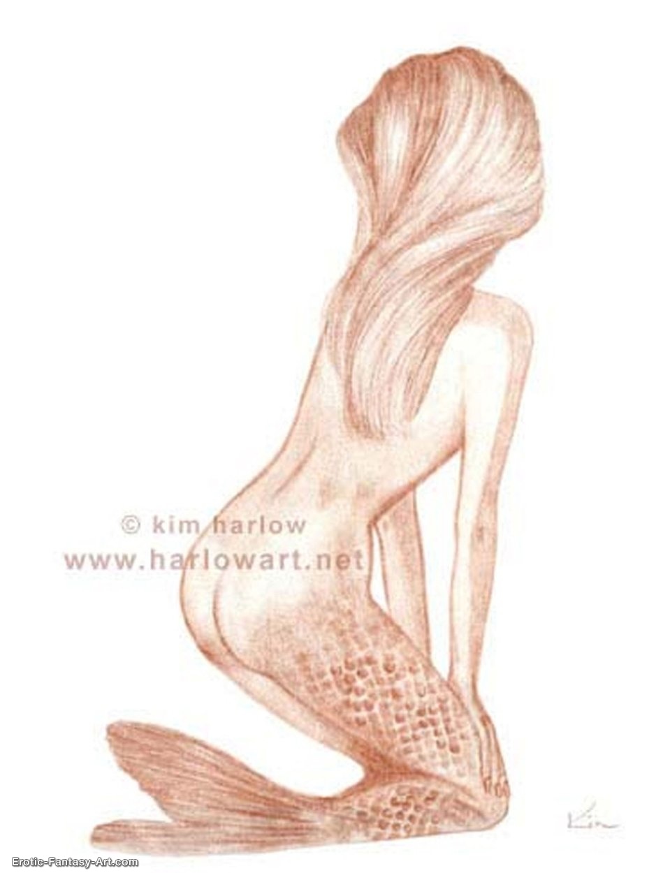 Study-Mermaid