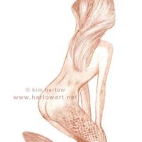 Study-Mermaid