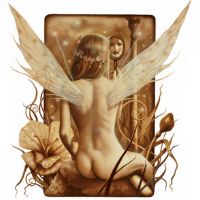 Looking-Glass_Fairy