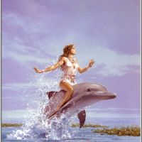 Dolphin_Dreams