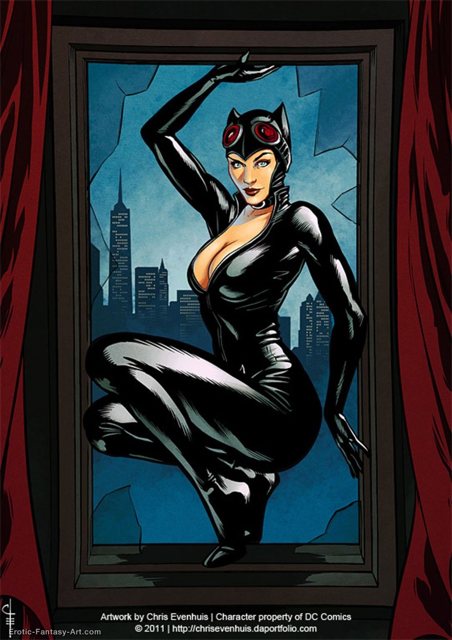 Chris_Evenhuis-Catwoman__Home_Invasion_By_Chrisevenhuis-D46ta2a