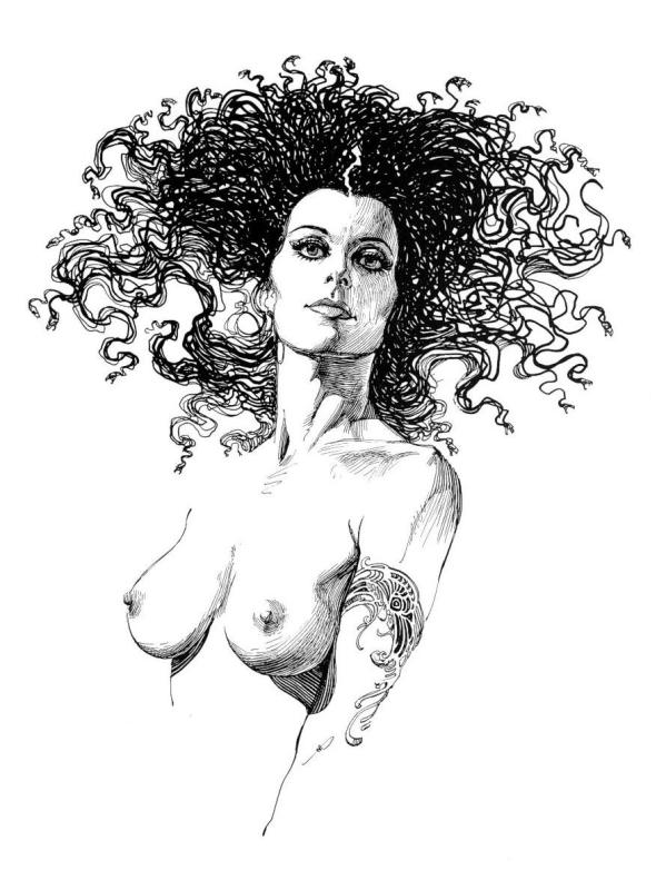 263 By Boris Vallejo