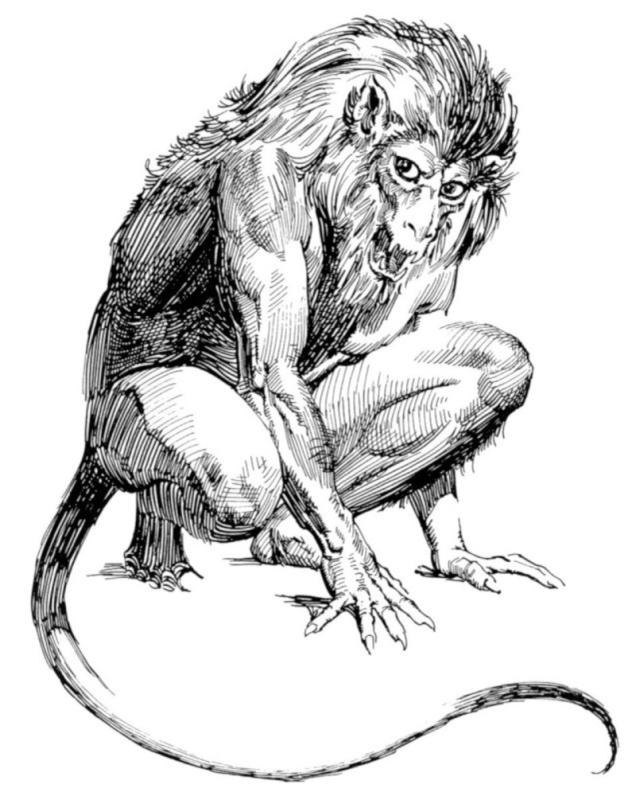 273 By Boris Vallejo