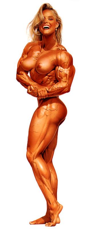 295 By Hajime Sorayama