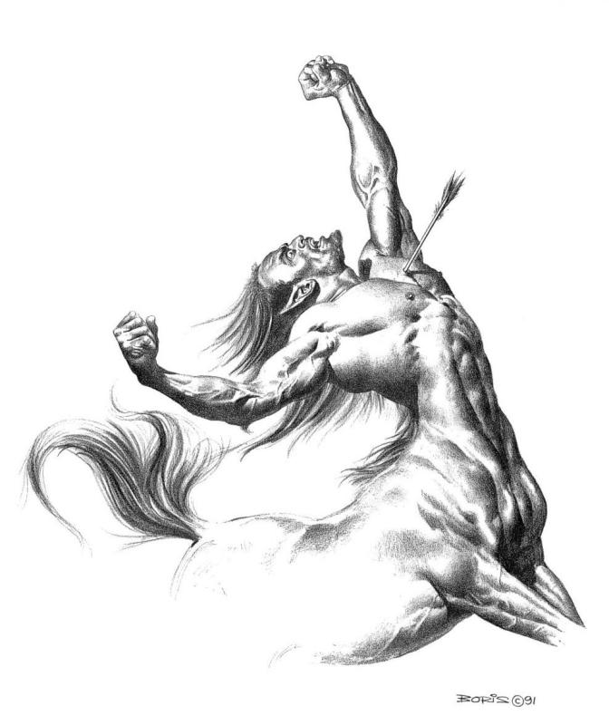 312 By Boris Vallejo