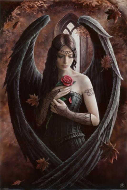 Angel Rose By Anne Stokes