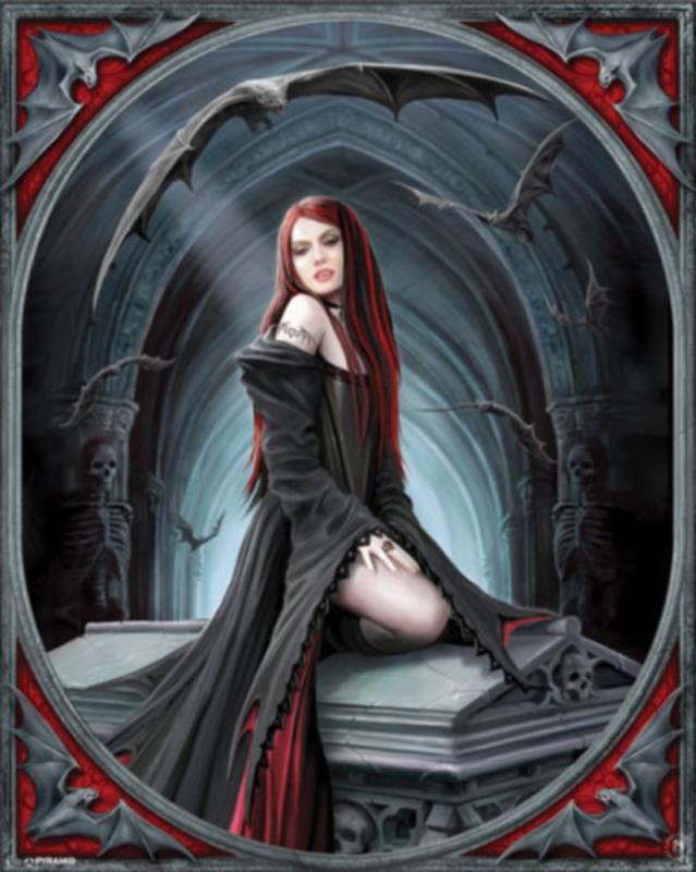 Await The Night By Anne Stokes