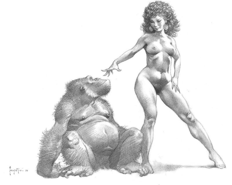 bw 003