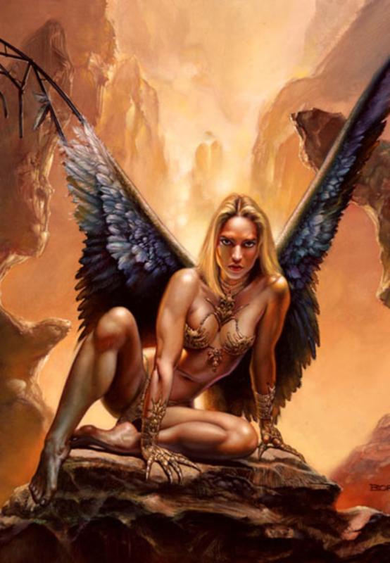 Broken Wing By Boris Vallejo