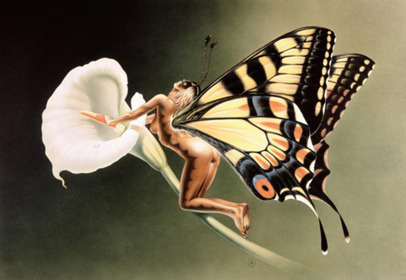Buterfly Girl By Chris Achilleos