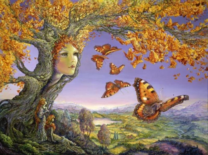 butterfly tree