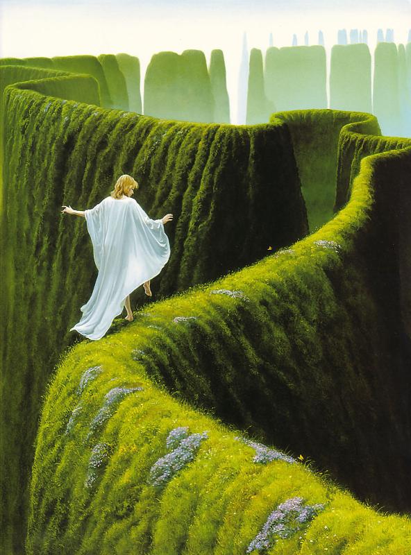 Edgedancer By Michael Whelan