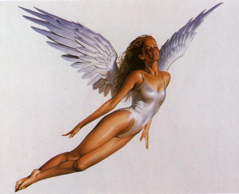 Flight By Hajime Sorayama