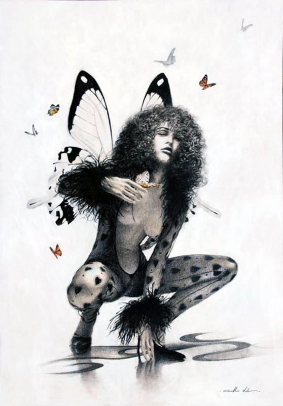 fly butterfly fly
