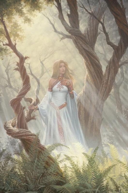 forest mist