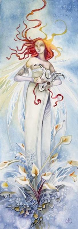 lily