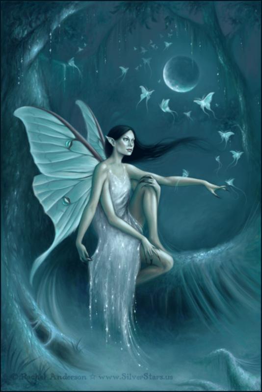 Luna Moth By Rachel Anderson