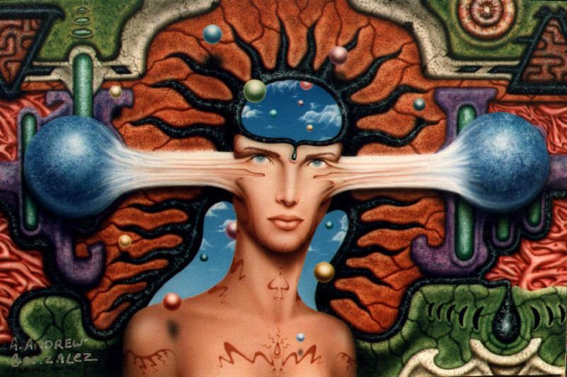 mayas dream