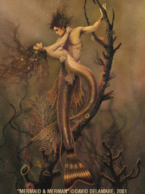 mermaid and merman