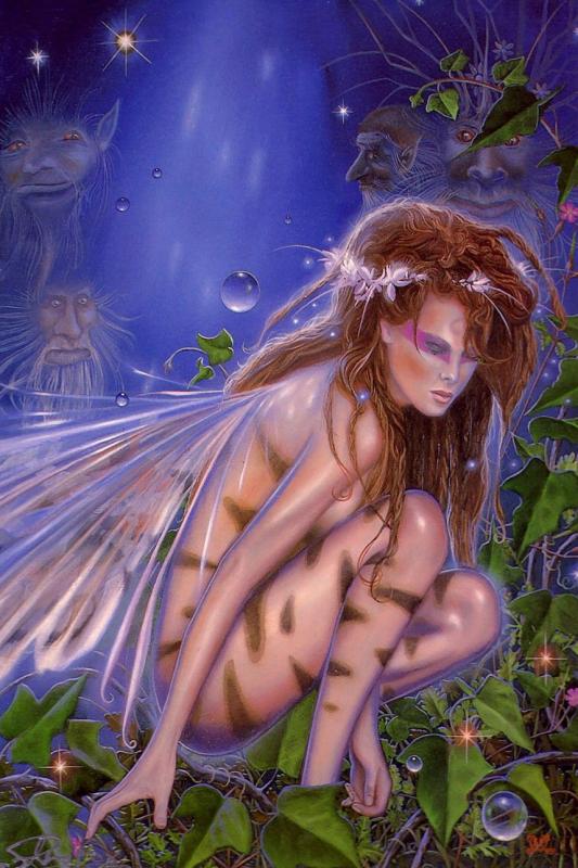 Ninuine By Steve Fox