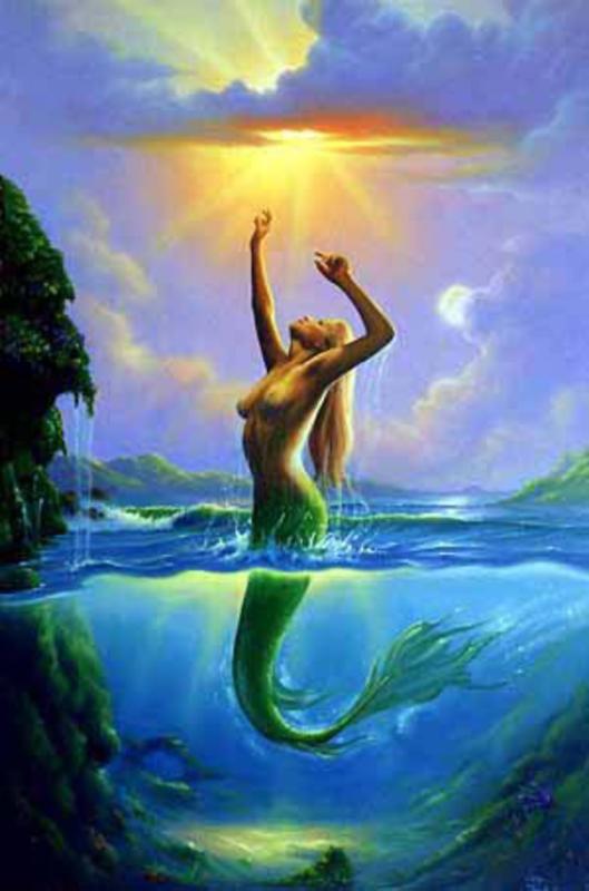 Reach For The Sun By Jim Warren