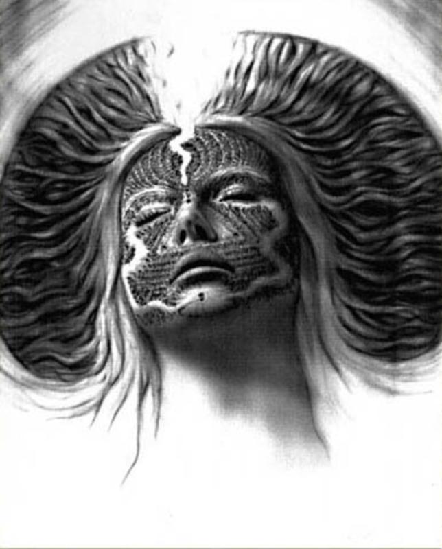 sapientia