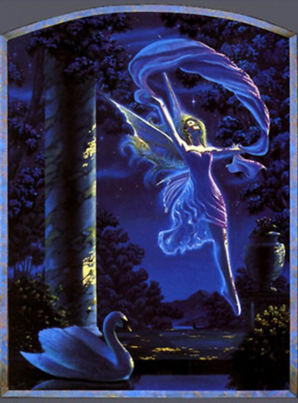 Stardance By Jeffrey K Bedrick