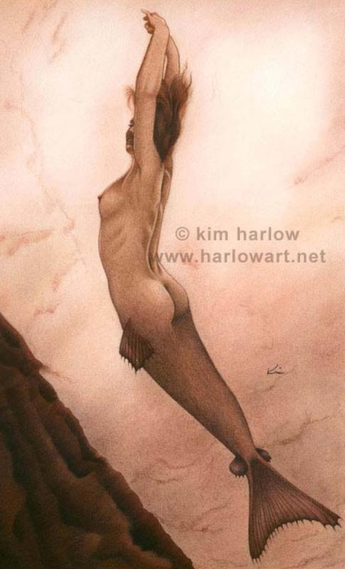 Twilight By Kim Harlow