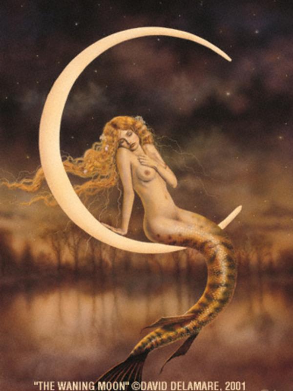 Waning Moon By David Delamare
