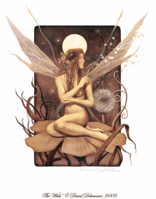 Wish By David Delamare