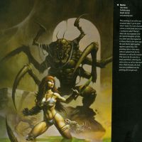 EFA Bug pg34