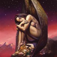 Wings of night
