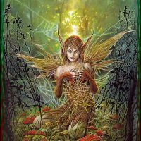 Briar-Briar - the Cobweb Fairy